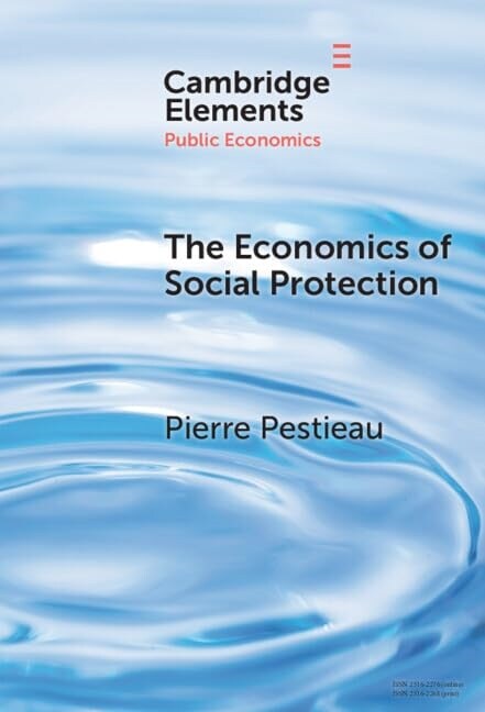 The Economics of Social Protection (Hardcover)