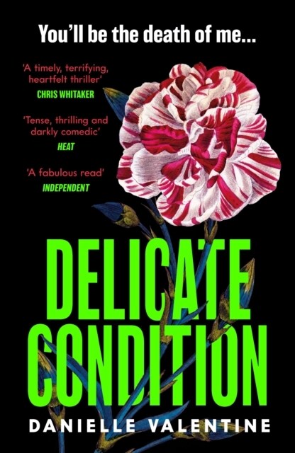 Delicate Condition (Paperback, Main)