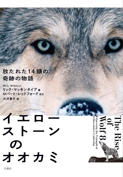 イエロ-スト-ンのオオカミ：放たれた14頭の奇跡の物語