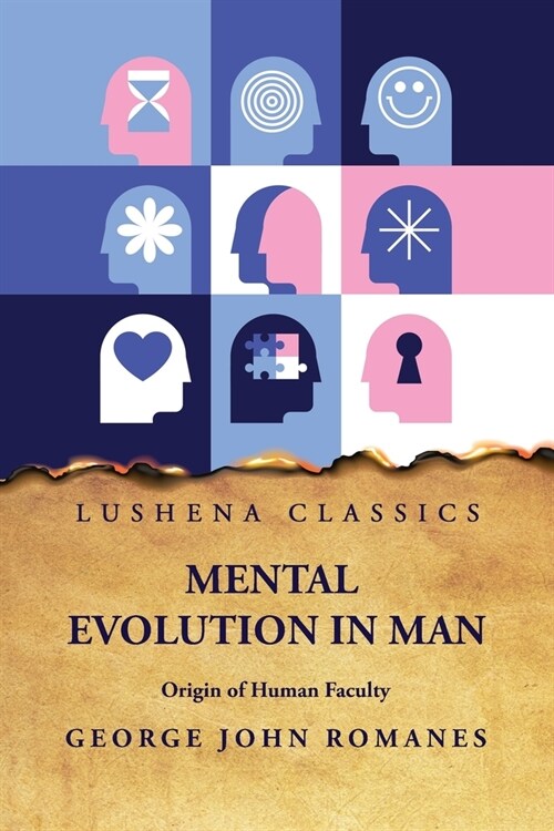 Mental Evolution in Man Origin of Human Faculty (Paperback)
