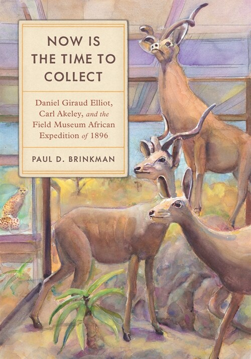 Now Is the Time to Collect: Daniel Giraud Elliot, Carl Akeley, and the Field Museum Africa Expedition of 1896 (Hardcover)
