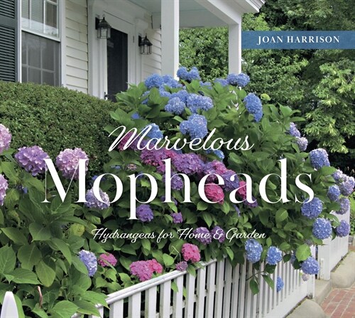Marvelous Mopheads: Hydrangeas for Home & Garden (Hardcover)