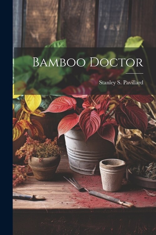 Bamboo Doctor (Paperback)