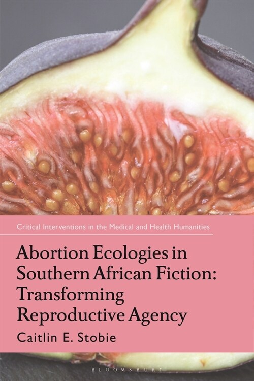 Abortion Ecologies in Southern African Fiction : Transforming Reproductive Agency (Paperback)