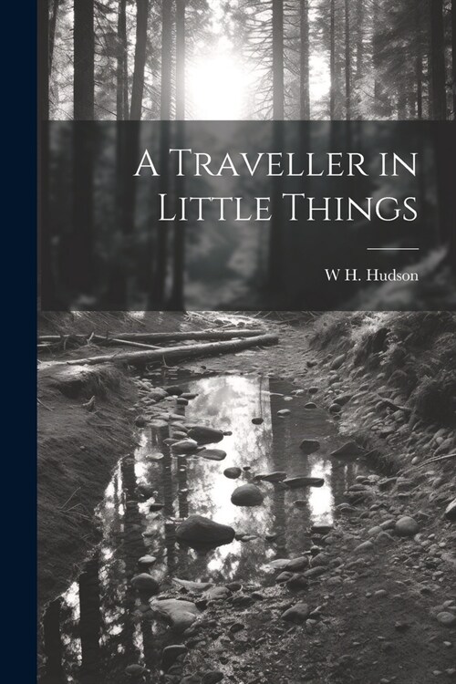 A Traveller in Little Things (Paperback)