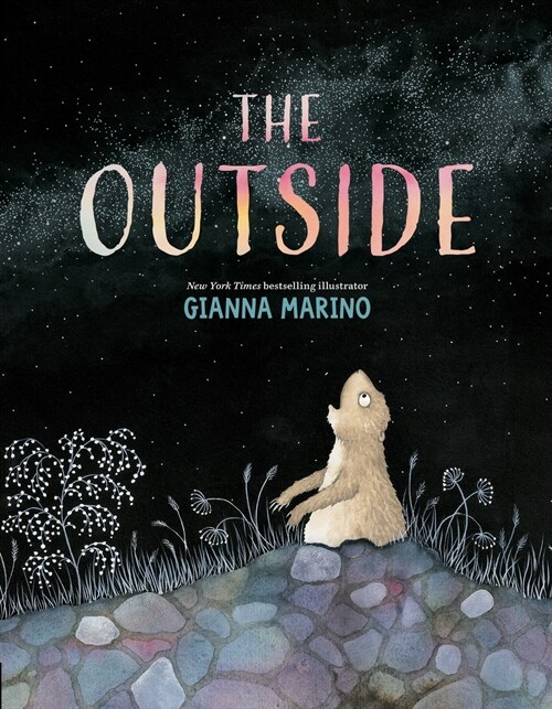 The Outside (Hardcover)