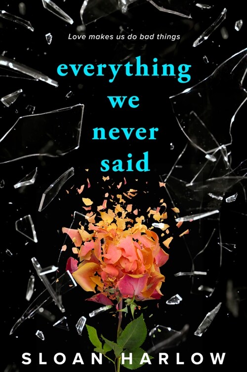 Everything We Never Said (Paperback)