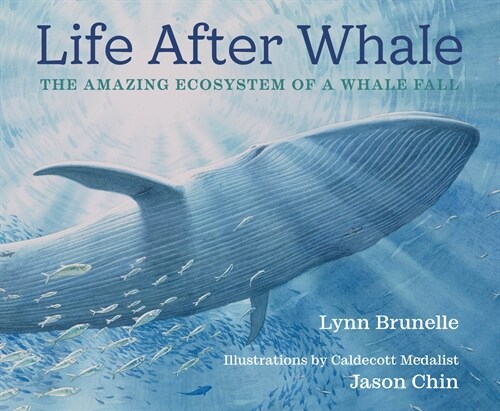 Life After Whale: The Amazing Ecosystem of a Whale Fall (Hardcover)