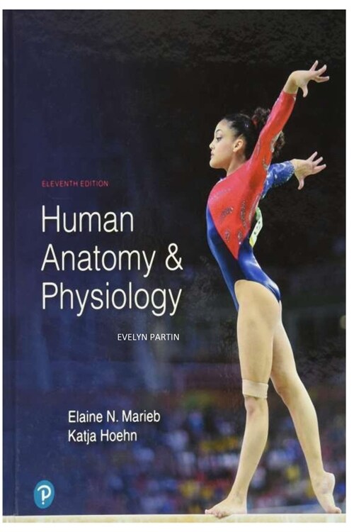 Human Anatomy & Physiology (Paperback)