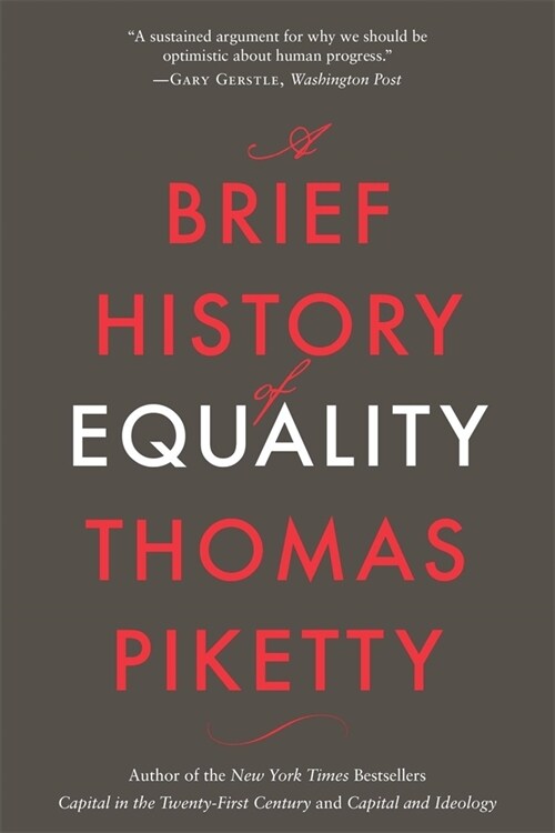 A Brief History of Equality (Paperback)