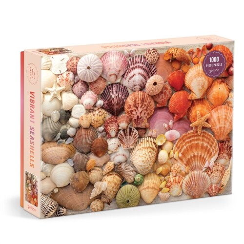 Vibrant Seashells 1000 Piece Puzzle (Jigsaw)