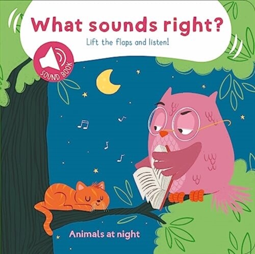 Animals at Night (What Sounds Right) (Board Book)