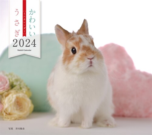 かわいいうさぎカレンダ- (2024)