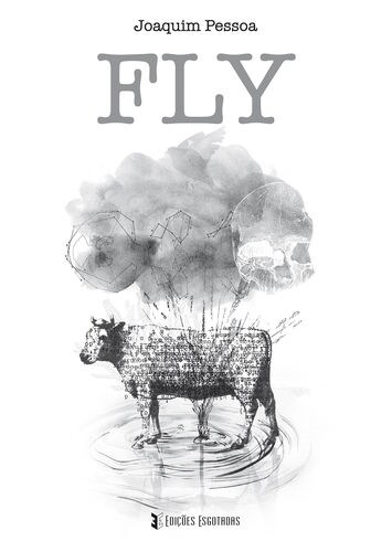  Fly