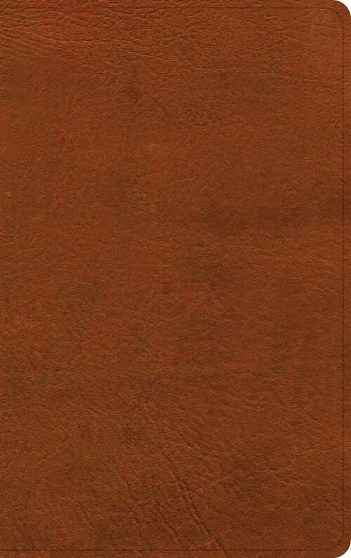 NASB Single-Column Personal Size Bible, Burnt Sienna Leathertouch (Imitation Leather)