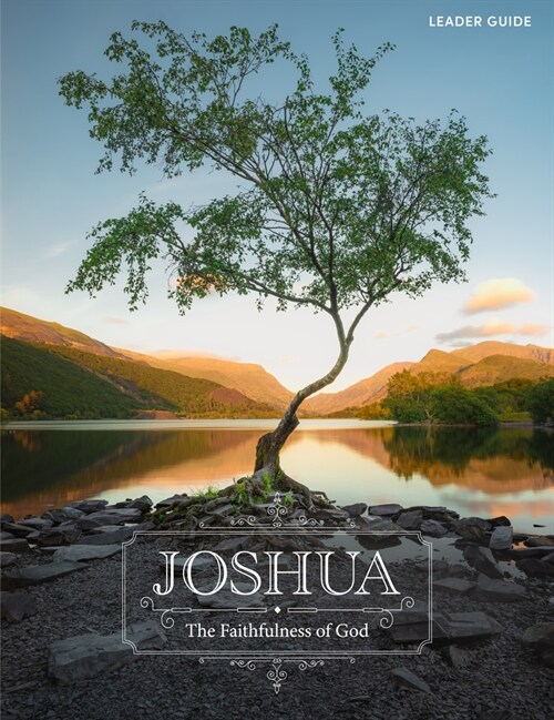 Joshua - Leader Guide: The Faithfulness of God (Paperback)