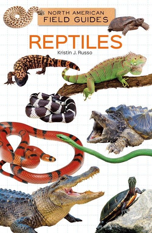 Reptiles (Library Binding)