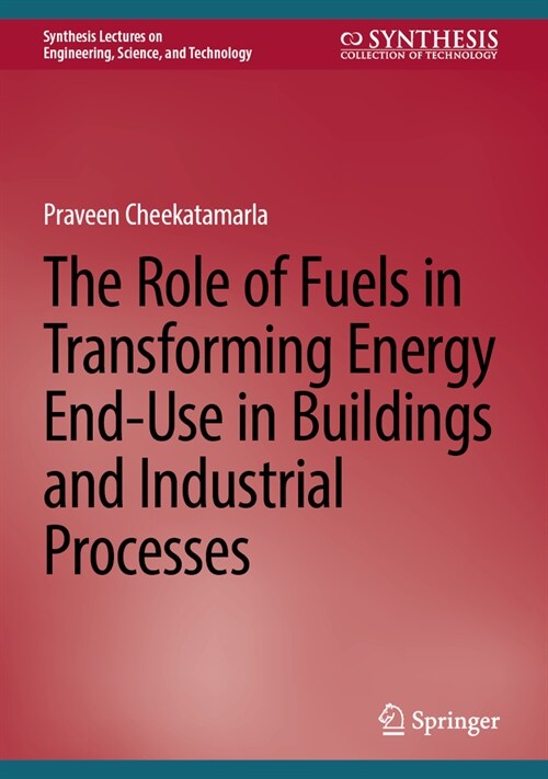 The Role of Fuels in Transforming Energy End-Use in Buildings and Industrial Processes (Paperback, 2024)