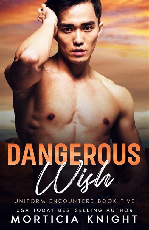 Dangerous Wish: An M/M Friends to Lovers Romance (Paperback)