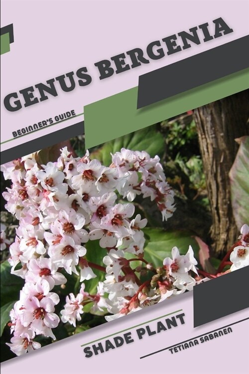 Genus Bergenia: Shade plant Beginners Guide (Paperback)