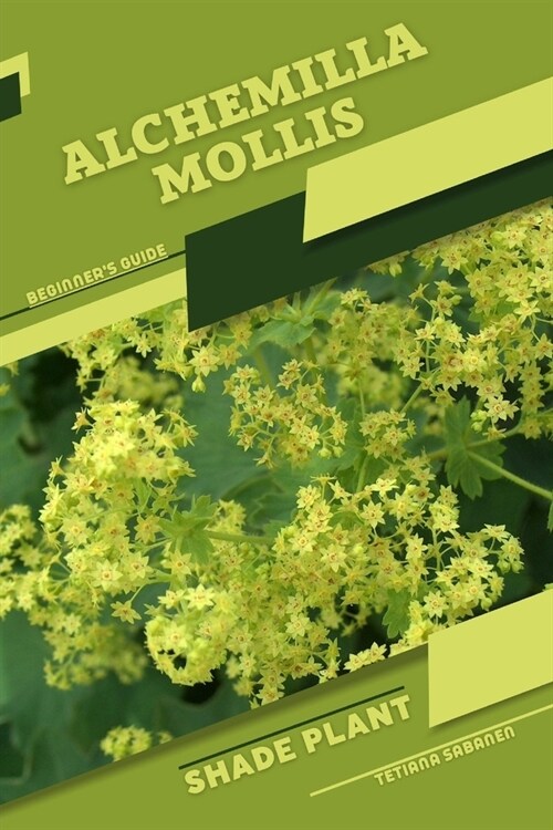 Alchemilla mollis: Shade plant Beginners Guide (Paperback)