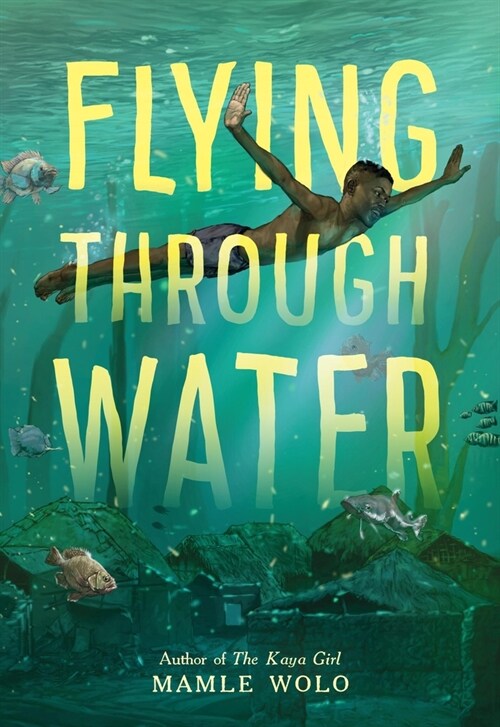 Flying Through Water (Hardcover)