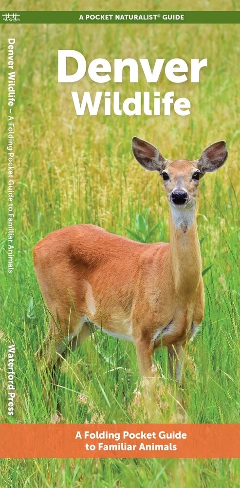 Denver Wildlife: A Folding Pocket Guide to Familiar Animals (Paperback)