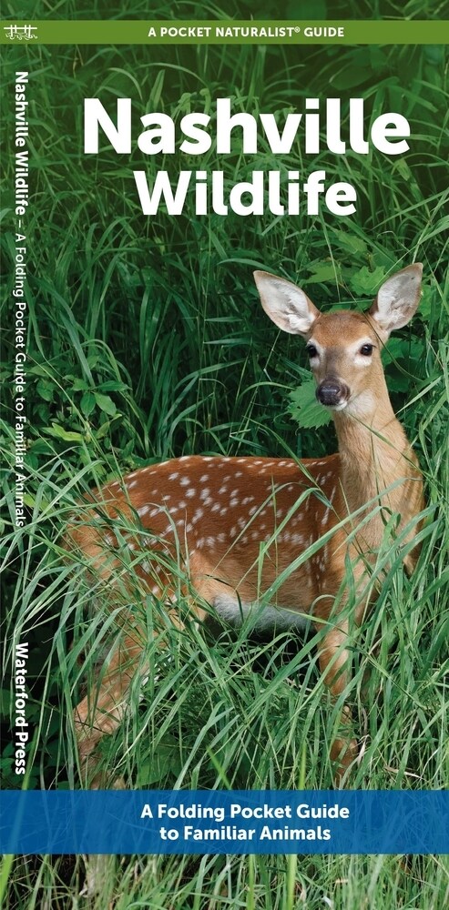 Nashville Wildlife: A Folding Pocket Guide to Familiar Animals (Paperback)