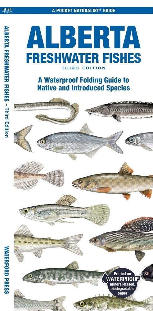 Alberta Freshwater Fishes: A Folding Guide to Native and Introduced Species (Paperback, 3)