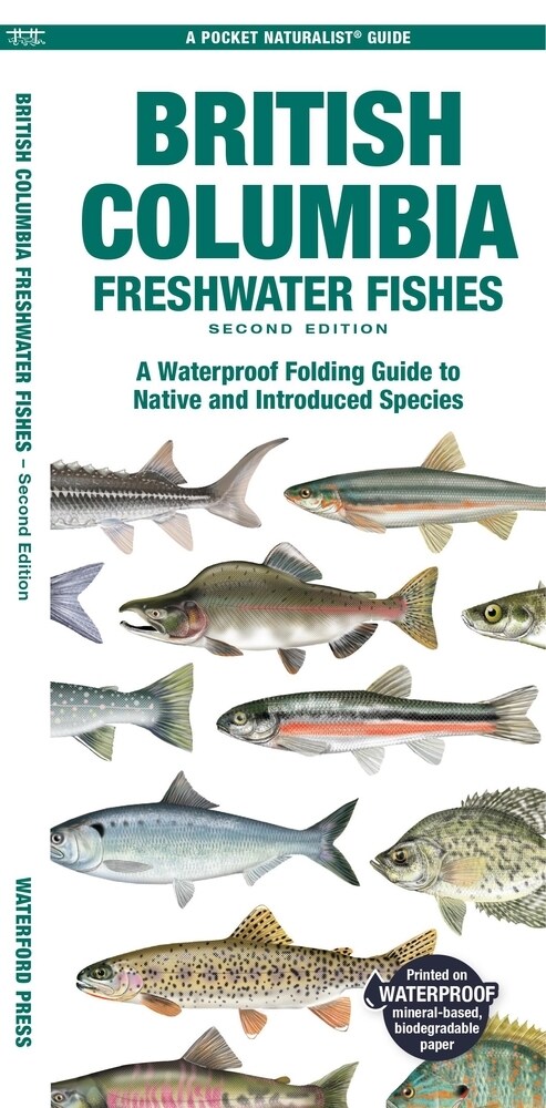 British Columbia Freshwater Fishes: A Folding Guide to Native and Introduced Species (Paperback, 2)