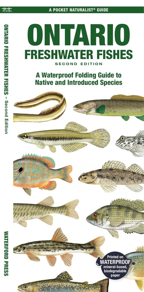 Ontario Freshwater Fishes: A Folding Guide to Native and Introduced Species (Paperback, 2)