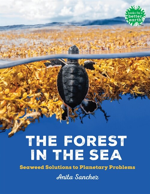 The Forest in the Sea: Seaweed Solutions to Planetary Problems (Paperback)