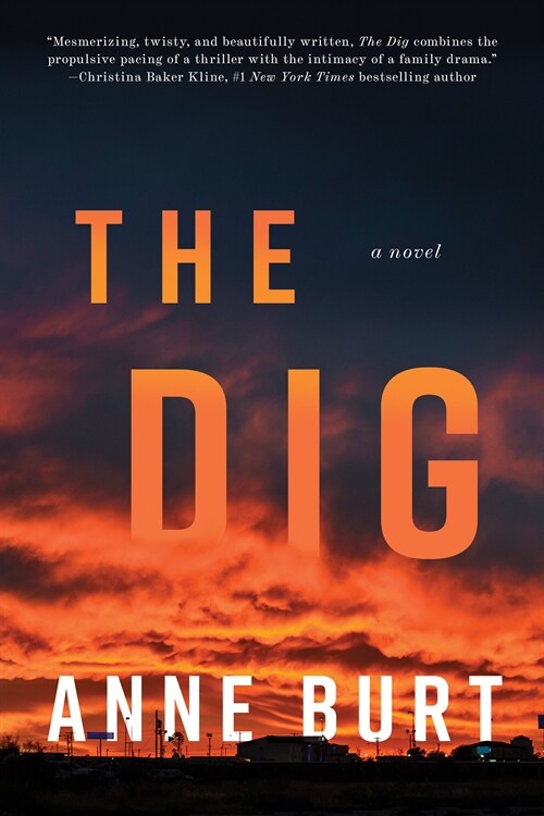 The Dig (Paperback)