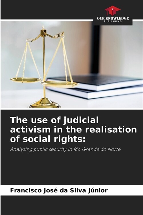 The use of judicial activism in the realisation of social rights (Paperback)