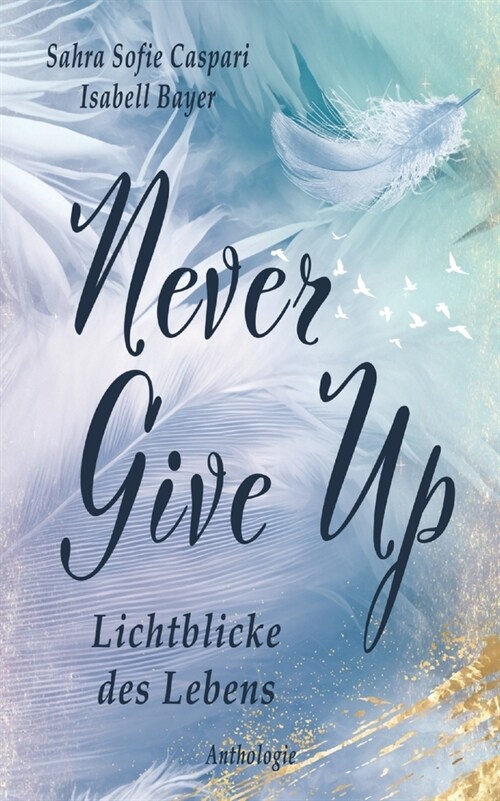 Never Give Up: Lichtblicke des Lebens (Paperback)