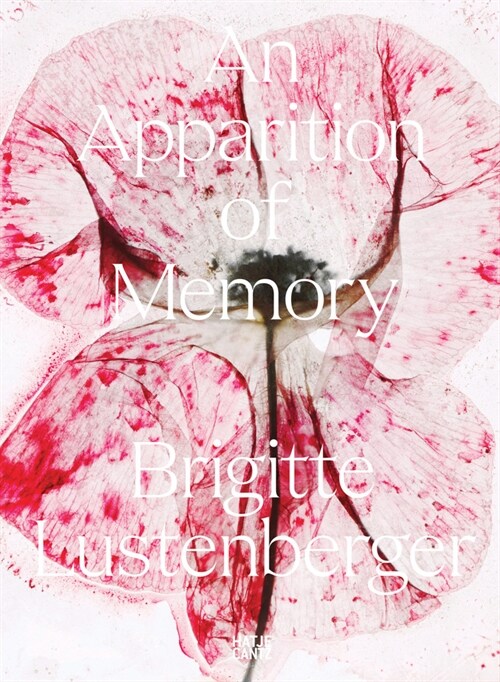 Brigitte Lustenberger: An Apparition of Memory (Paperback)