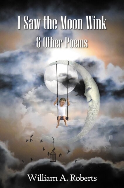 I Saw the Moon Wink : ...and Other Poems (Paperback)