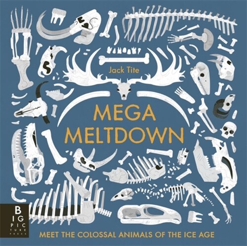 Mega Meltdown (Paperback)
