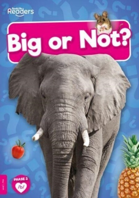 Big or Not? (Paperback)