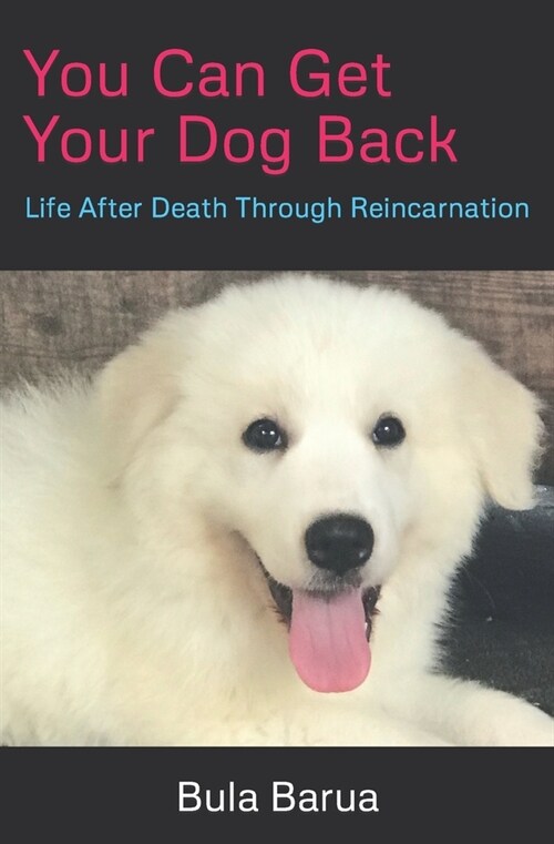 You Can Get Your Dog Back: Life After Death Through Reincarnation (Paperback)
