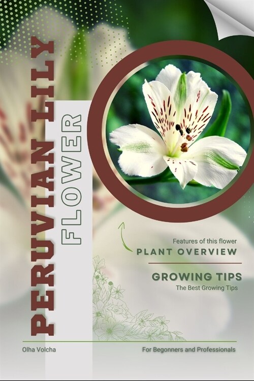 Peruvian Lily: Flower overview and Growing Tips (Paperback)