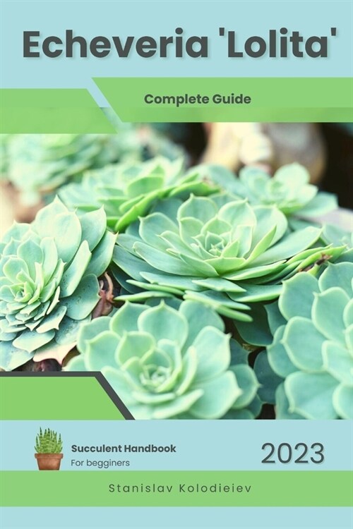 Echeveria Lolita: Succulent Handbook: Complete Guide to Growing Succulent Plant (Paperback)