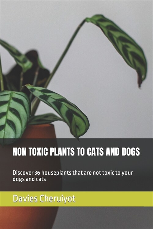Non Toxic Plants to Cats and Dogs: Discover 36 houseplants that are not toxic to your dogs and cats (Paperback)