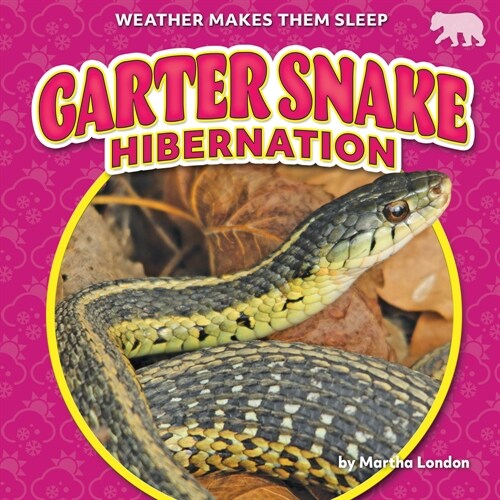 Garter Snake Hibernation (Library Binding)