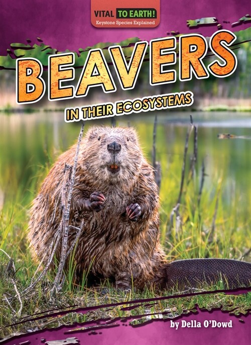 Beavers in Their Ecosystems (Library Binding)
