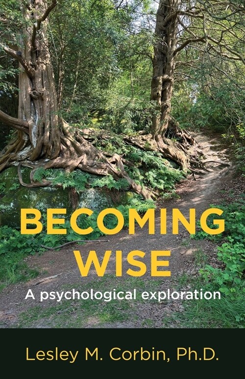 Becoming Wise: A psychological exploration (Paperback)