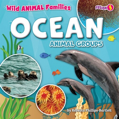 Ocean Animal Groups (Library Binding)