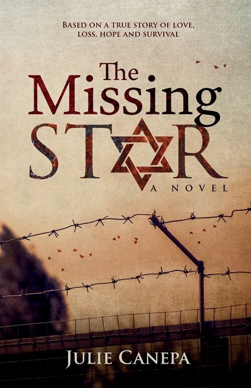 The Missing Star (Paperback)