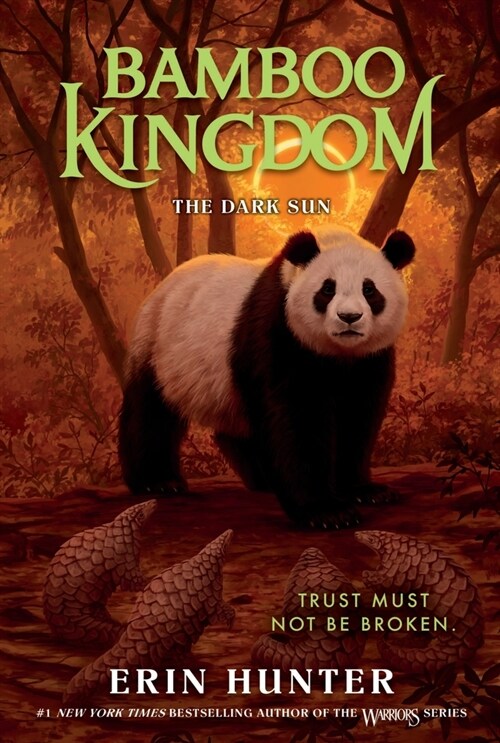 Bamboo Kingdom #4: The Dark Sun (Paperback)