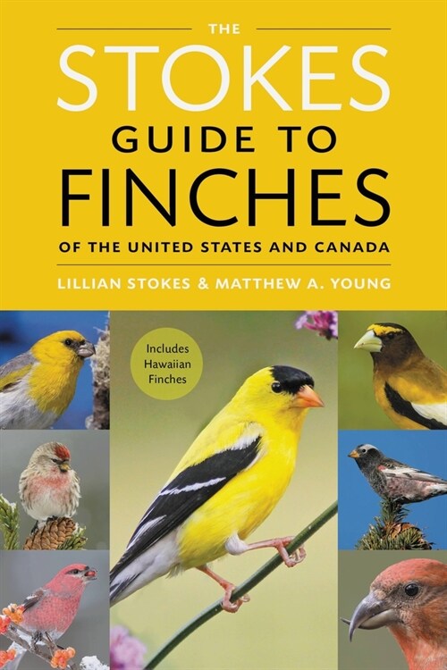 The Stokes Guide to Finches of the United States and Canada (Paperback)